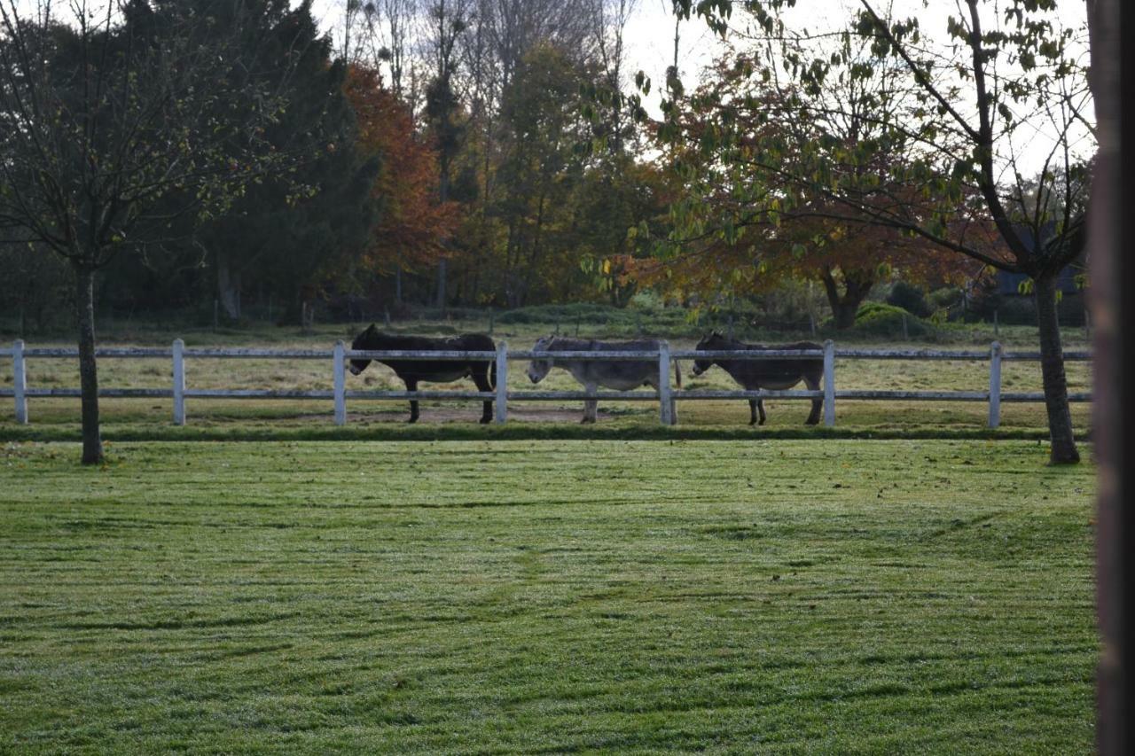 Le Clos Masure Doudeville Buitenkant foto